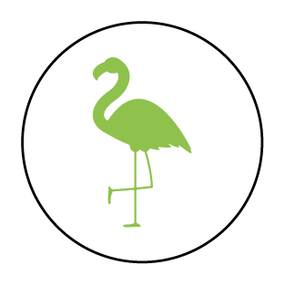 Ras Al Khor Wild Life Sanctuary