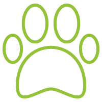 Pets Allowed