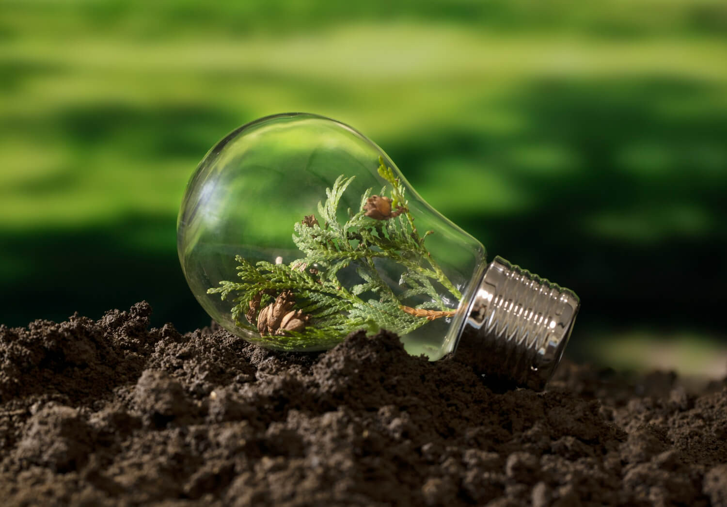 The Zayed Sustainability Prize: A Beacon of Innovation and Global Impact
