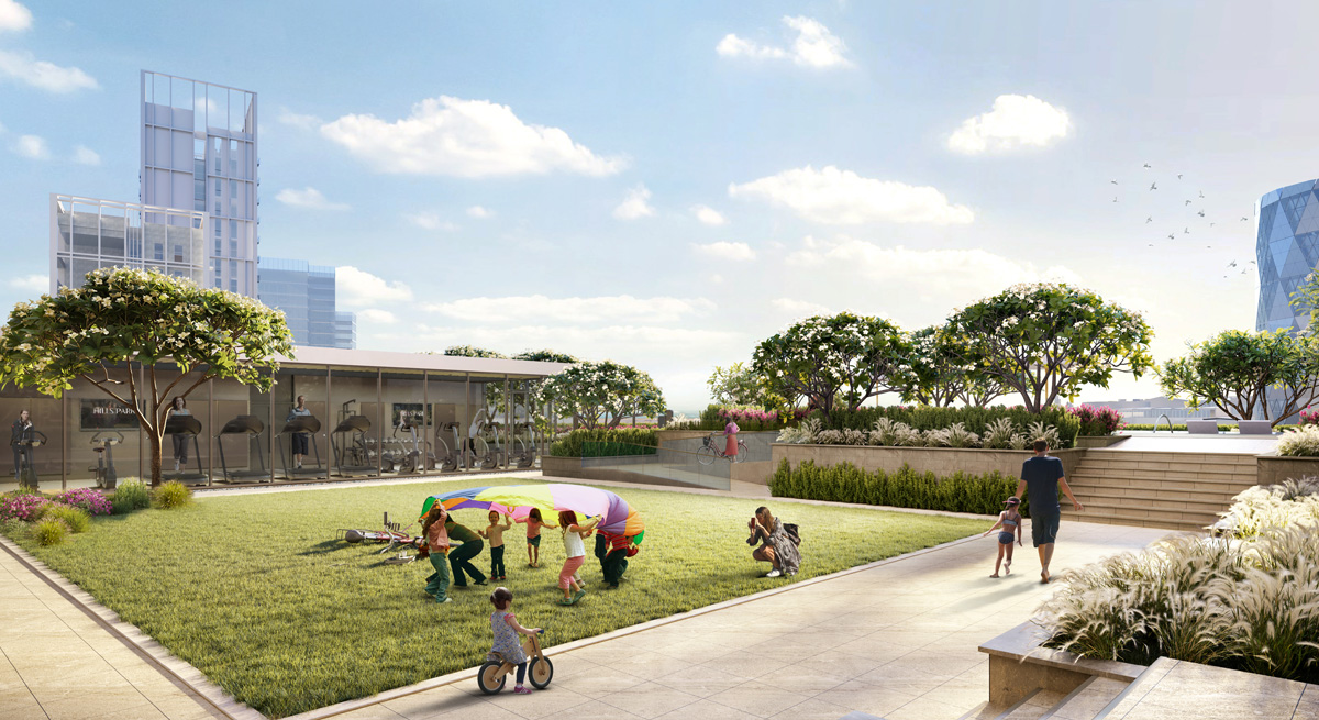 Uncovering the Beauty of Hills Park